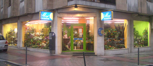 Floristería en Salamanca, Calle Valencia, 18. Salamanca